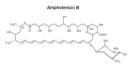 Ameranexamphotericinbinjectioninjectable